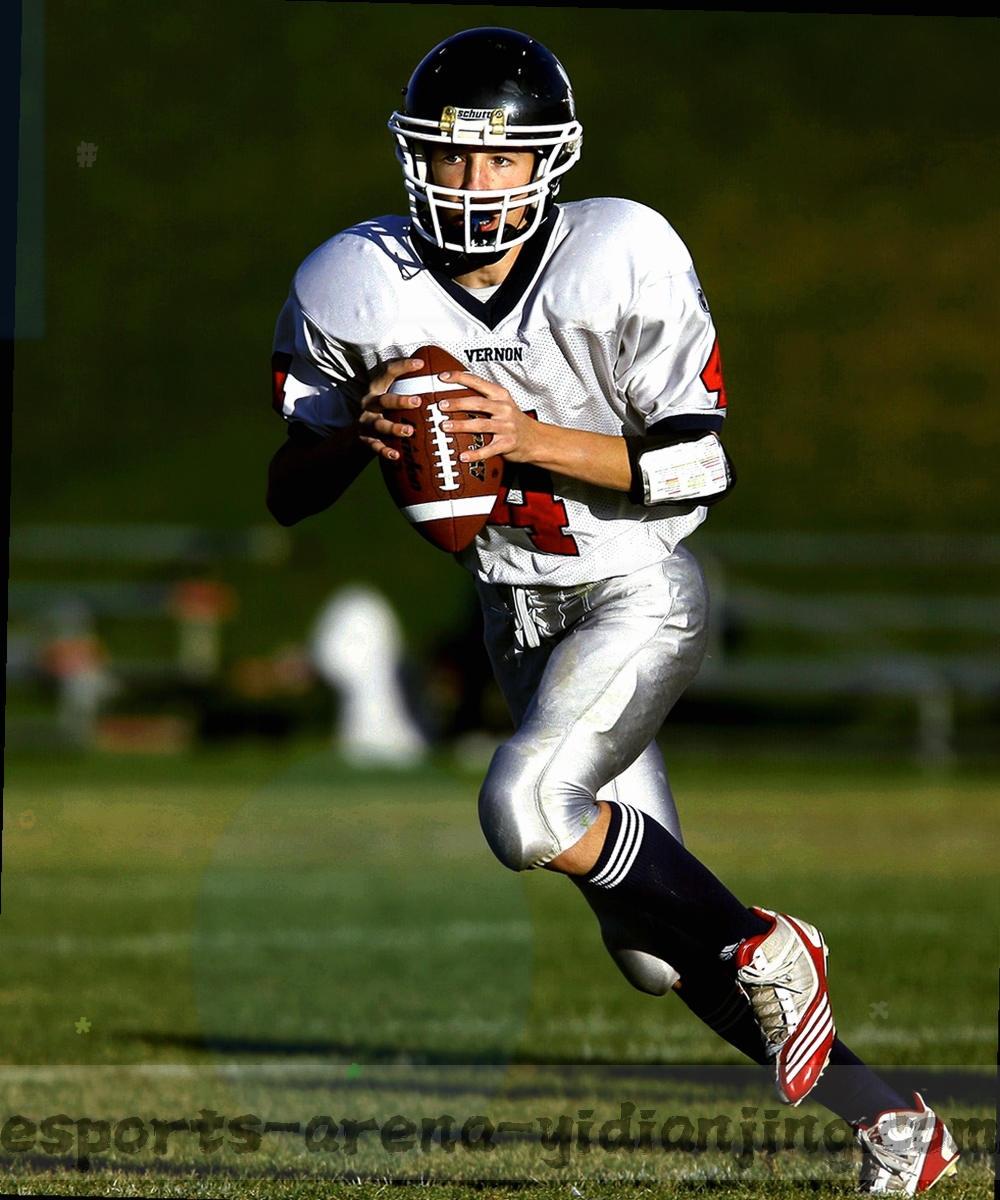 安卓客户端会员页面示意图形，季度与年度两档价格以等宽数字排列，续费提醒位置用亮橙标记